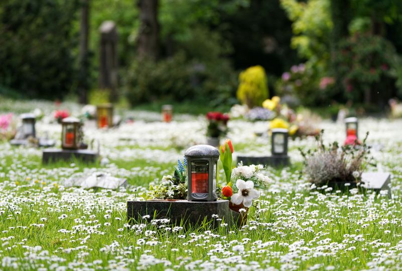 Naturbestattung - Pietät Wegmann in Aschaffenburg